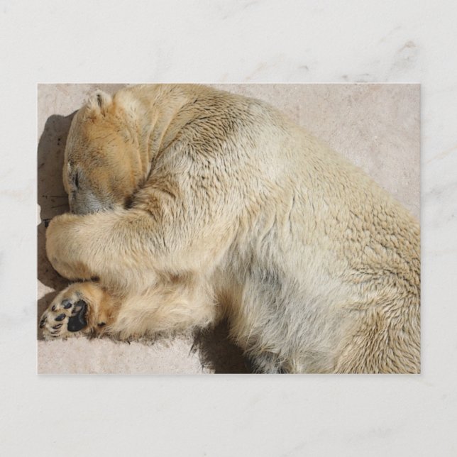 Carte Postale porter (Devant)