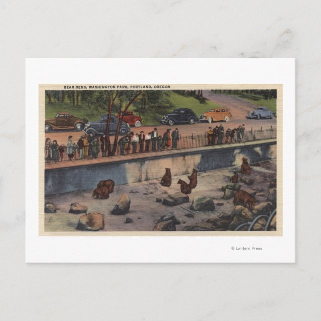 Carte Postale Portland, ORBear Dens à Washington Park (Devant)