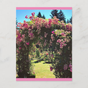 Carte Postale Portland Rose Garden, OU
