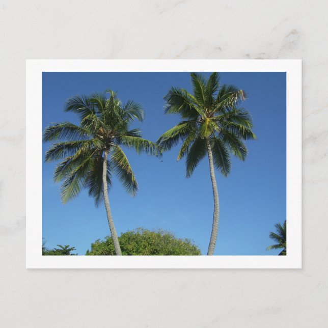 Carte Postale Porto Rico (Devant)