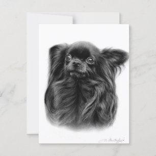 Carte Postale Portrai peint à la main de Cobra Long Haired Chihu