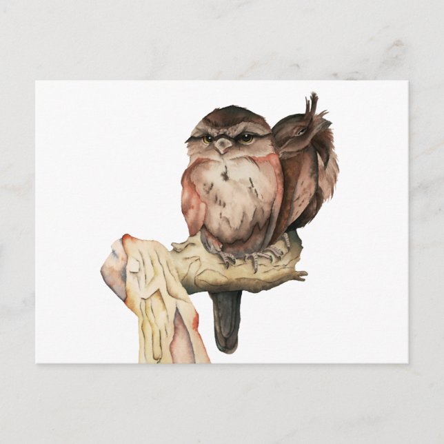 Carte Postale Portrait aquarelle de frères et sœurs de hibou (Devant)