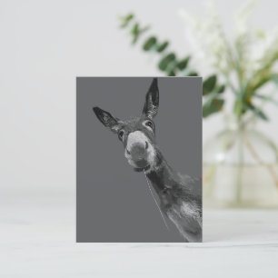 Carte Postale Portrait artistique en nuances de gris d'un âne dr