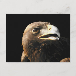 Carte Postale Portrait d'aigle doré