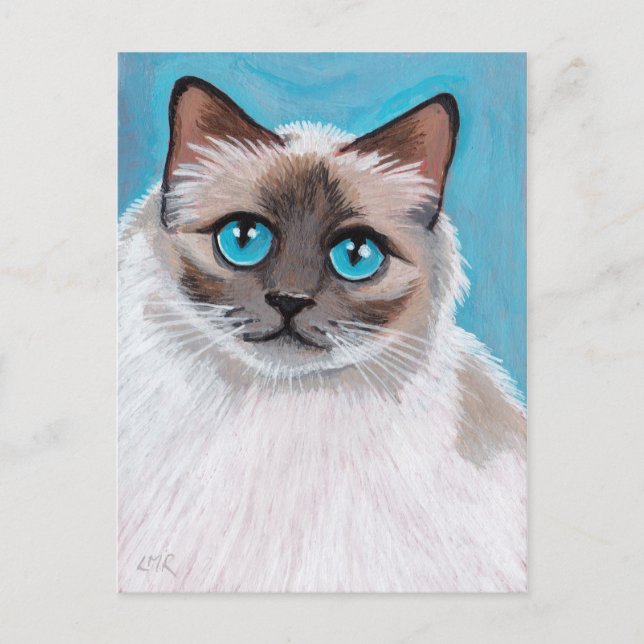 Carte postale Portrait de chat Blue Eyed Ragdoll (Devant)