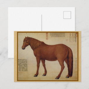 Carte Postale Portrait de cheval châtain - Art fin vintage chino