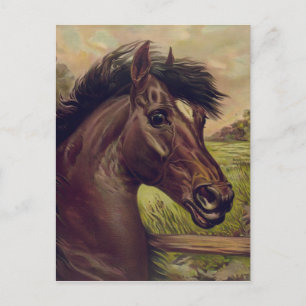 Carte Postale Portrait De Cheval vintage Un Prince Du Sang 1893