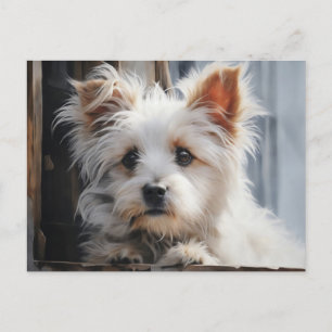 Carte Postale Portrait de chien blanc mignon