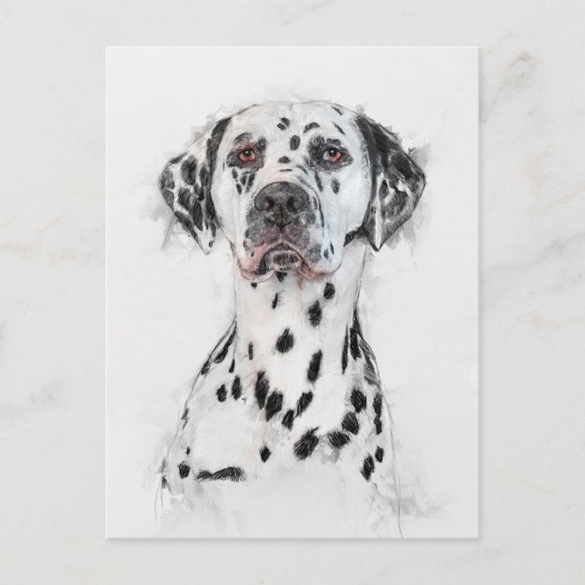 Carte Postale Portrait de chien dalmate (Devant)