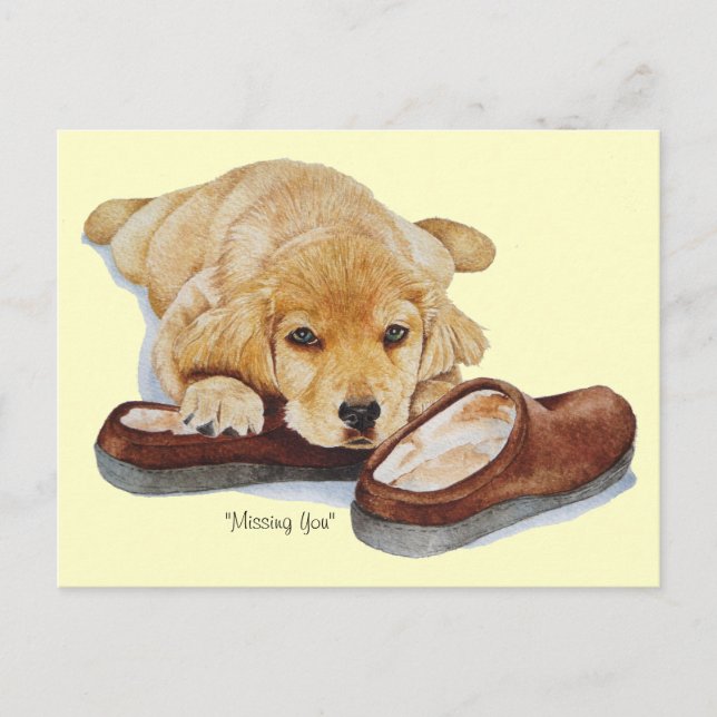 Carte Postale portrait de chien de chien de puppy golden (Devant)