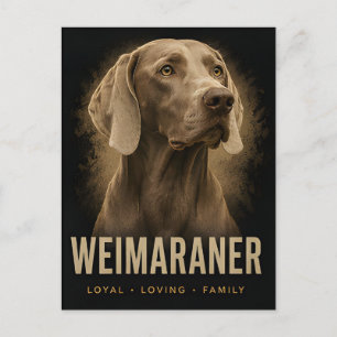 Carte Postale Portrait de chien de famille aimant loyal Weimaran
