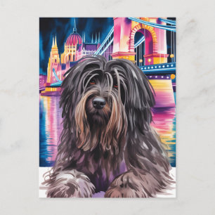 Carte Postale Portrait de chien hirsute dans le paysage urbain n