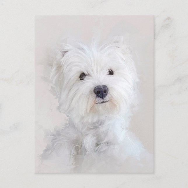 Carte Postale Portrait de chien Westie (Devant)