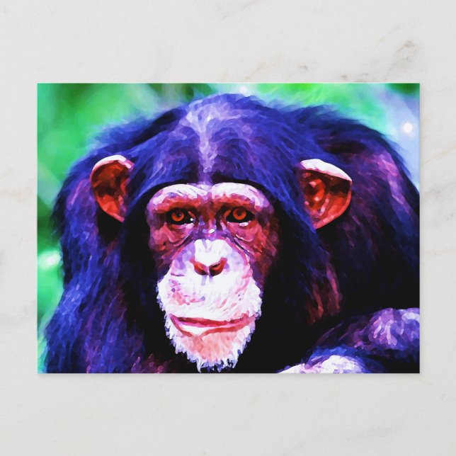 Carte Postale Portrait de Chimpanzé (Devant)