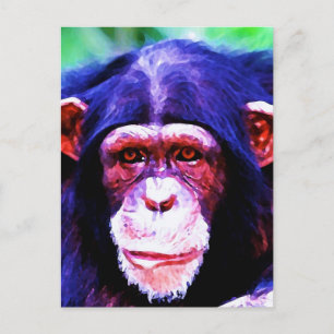 Carte Postale Portrait de Chimpanzé