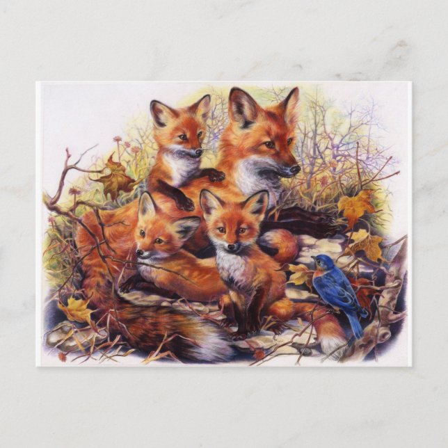 Carte Postale Portrait de famille de Fox (Devant)