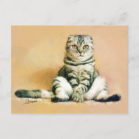 Portrait de fixation de chats pliés écossais