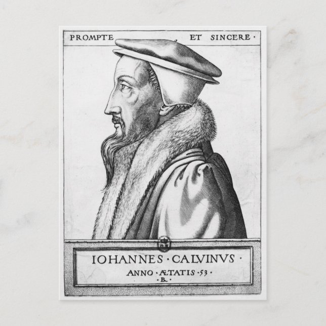 Carte Postale Portrait de John Calvin âgé de 53 ans, 1564 (Devant)