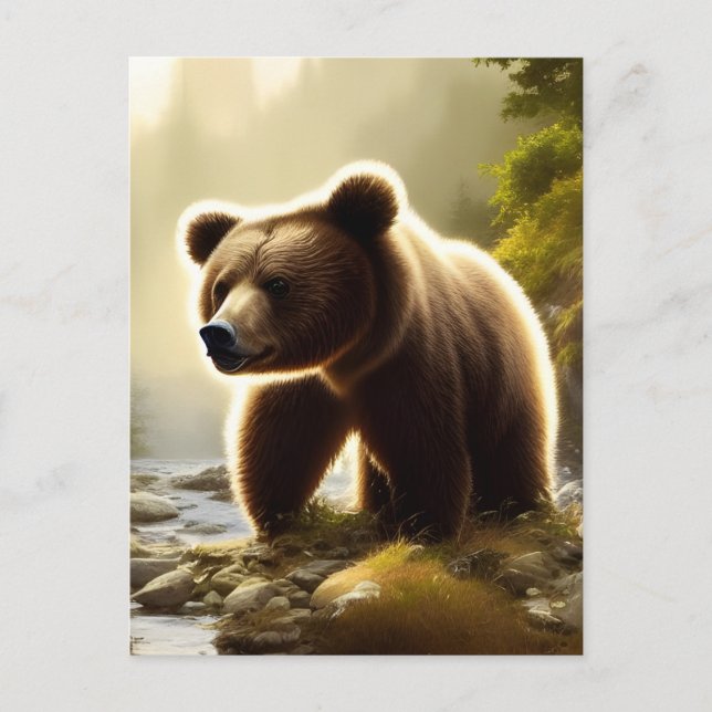 Carte Postale Portrait de la faune de l'ours Brown (Devant)