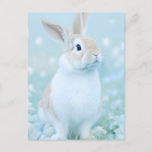Carte Postale Portrait de lapin 095