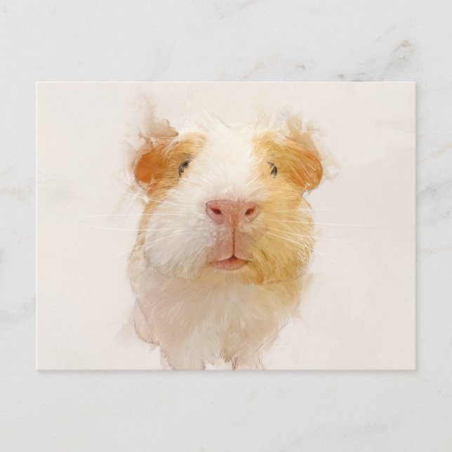 Carte Postale Portrait de porc de Guinée 001 (Devant)