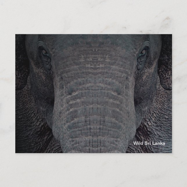 Carte Postale Portrait de Sri Lanka (Devant)