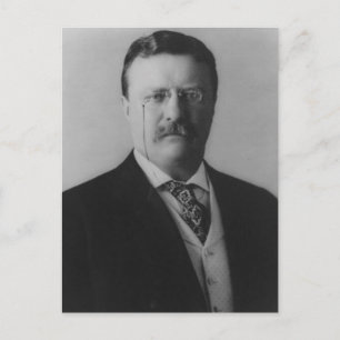 Carte Postale Portrait de Theodore Roosevelt