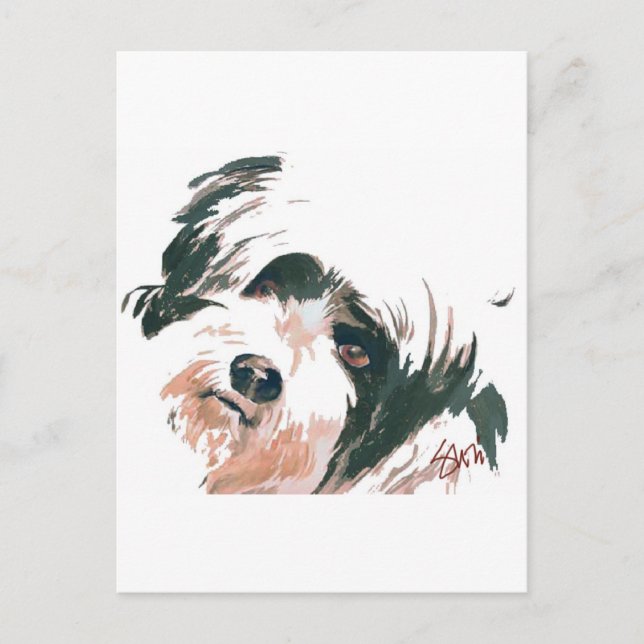 Carte Postale Portrait de Tibétain Terrier (Devant)