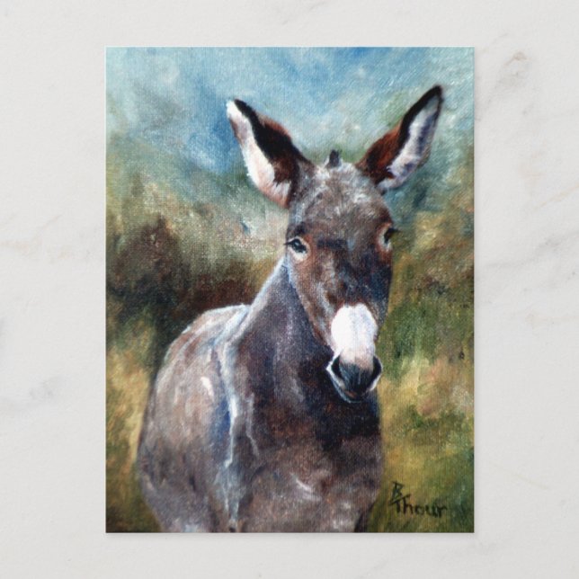 Carte postale Portrait Donkey (Devant)