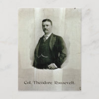 Portrait du colonel Theodore Roosevelt