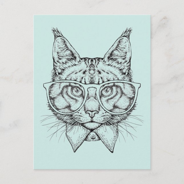 Carte Postale Portrait du Maine Coon (Devant)