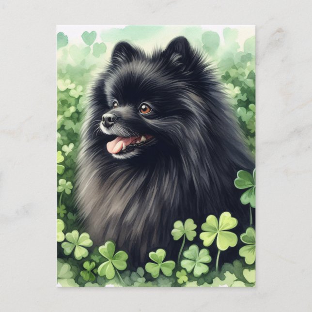 Carte Postale Portrait en Jour de la Saint Patrick de Poméranie  (Devant)