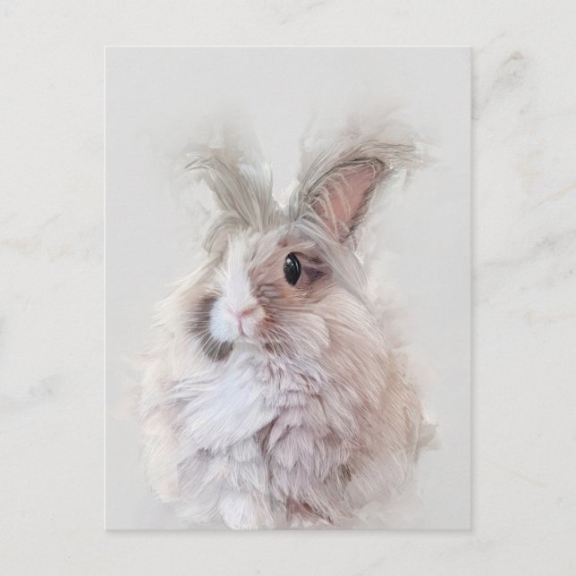 Carte Postale Portrait faunique de lapin nain Angora (Devant)