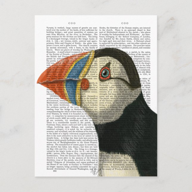 Carte Postale Portrait Puffin (Devant)