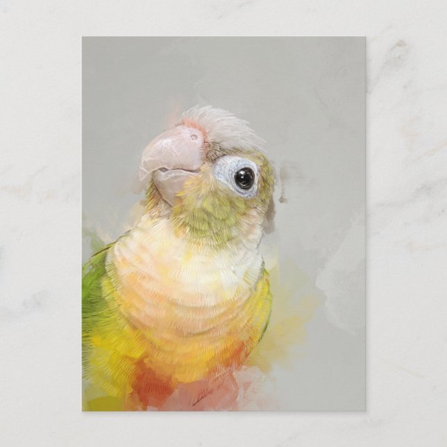 Carte Postale Portrait pur 012 (Devant)