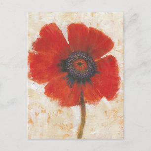 Carte Postale Portrait Red Poppy