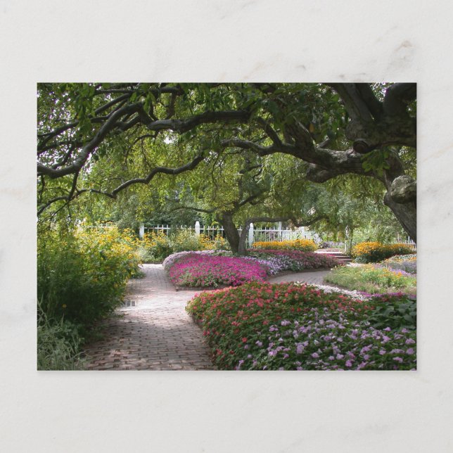 Carte Postale Portsmouth Garden (Devant)