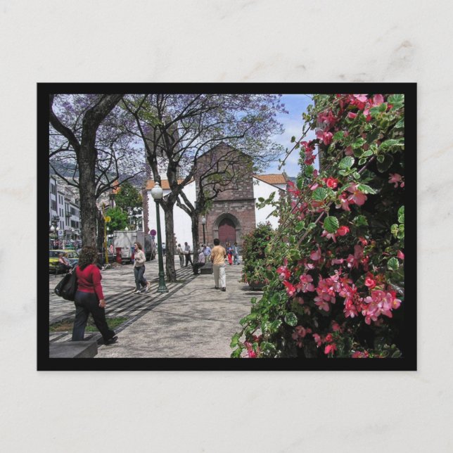 Carte Postale (Portugal) Funchal, Madeira Postcard (Devant)