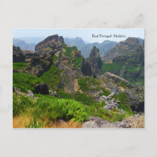 Carte Postale Portugal réel - Madère