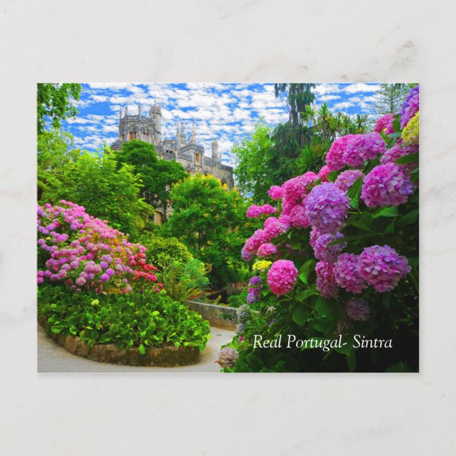 Carte Postale Portugal réel - Sintra (Devant)