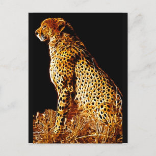 Carte Postale Position de Cheetahs