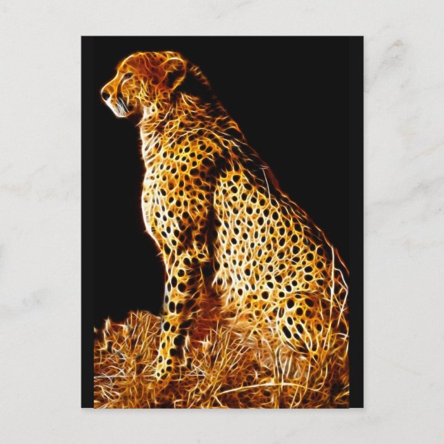 Carte Postale Position de Cheetahs (Devant)