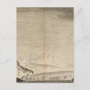 Carte Postale Possession Bay, Géorgie du Sud