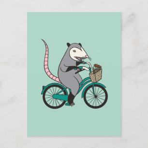 Carte Postale Possum à vélo