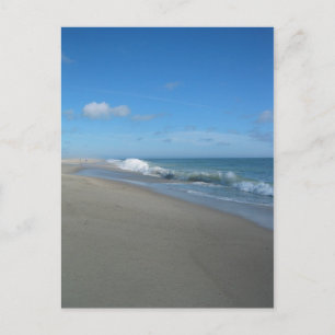 Carte Postale Post Card:Outer Beach on the Cape