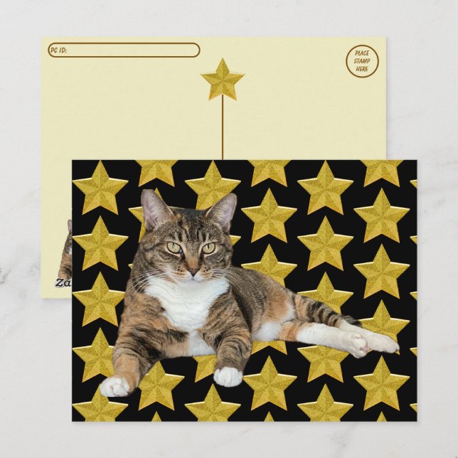Carte Postale Post-croisement - Annie's Star : Cat Postcard (Devant / Derrière)