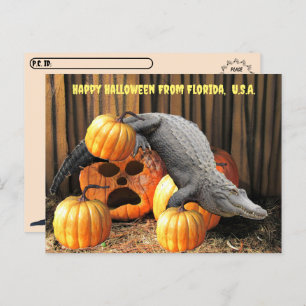 Carte Postale Post-croisement - Halloween Citrouilles et Gator