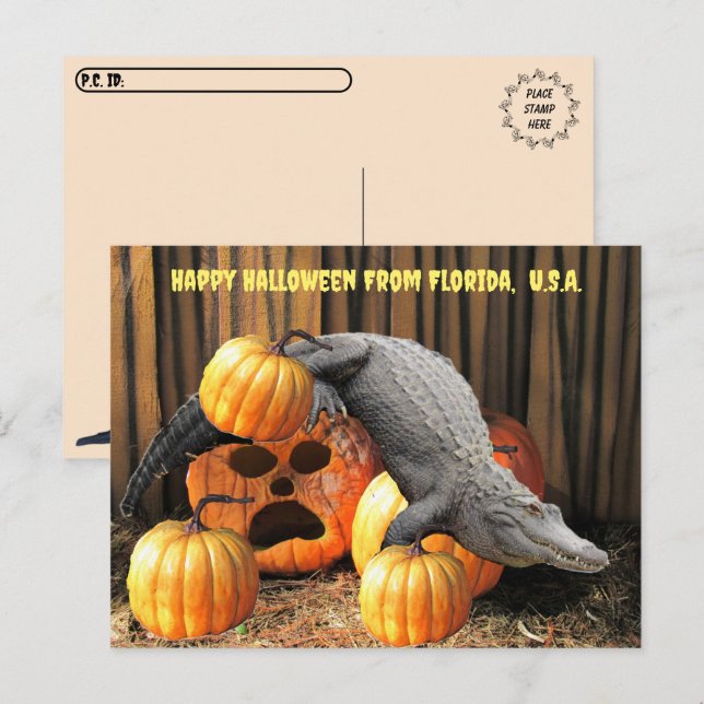 Carte Postale Post-croisement - Halloween Citrouilles et Gator (Devant / Derrière)