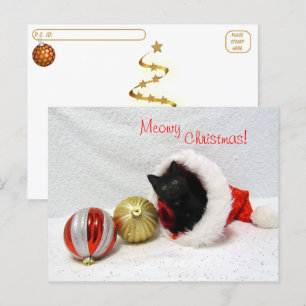 Carte Postale Post-croisement - Noël de Joon - Chat / Kitten