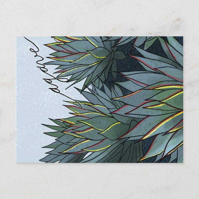 Carte Postale Postal Agave Mexico Souvenir (Devant)